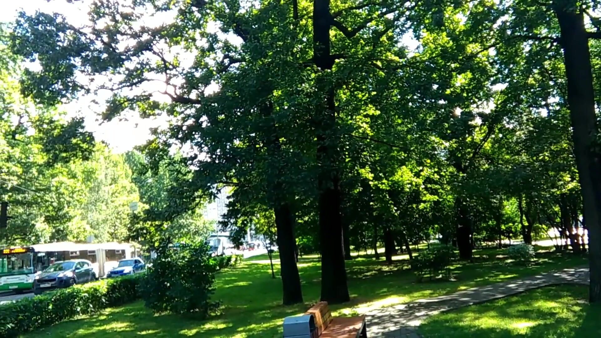тест ил